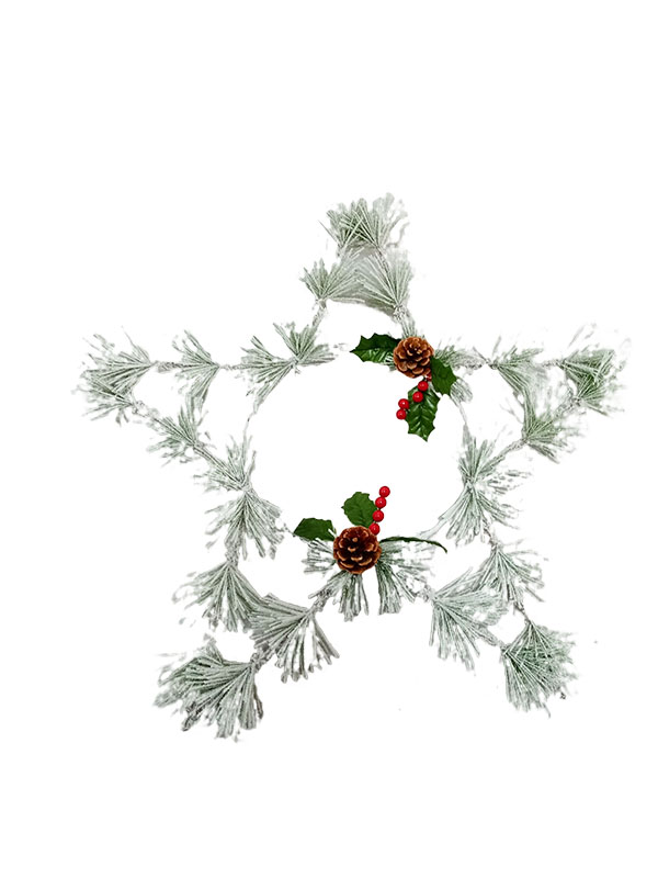 Altre decorazioni natalizie speciali-Stella 206002