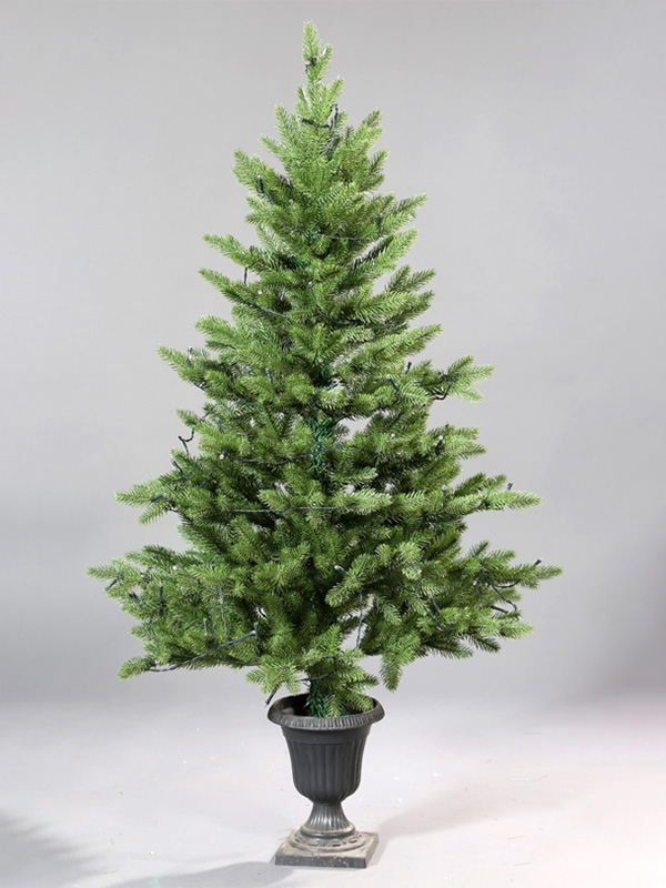 Albero di Natale in vaso 9A3A8774