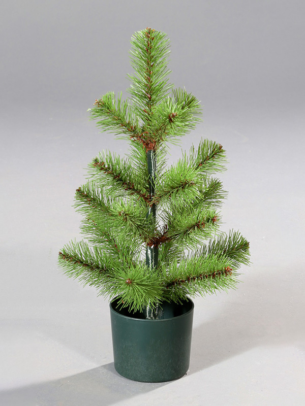Albero di Natale in vaso 9A3A8834