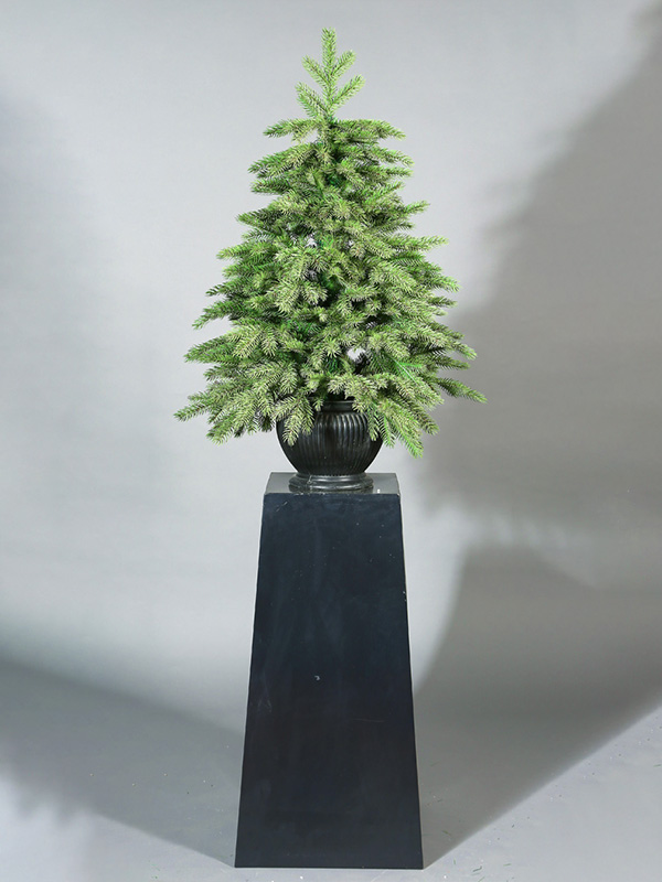 Albero di Natale in vaso 9A3A8864